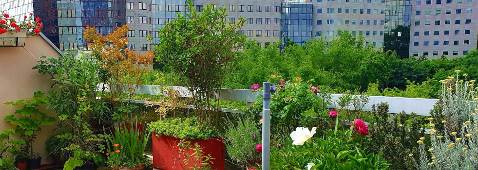 Jardin en ville