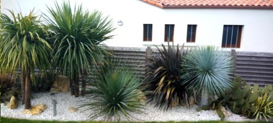 Dry & design garden - Pépinière La Forêt
